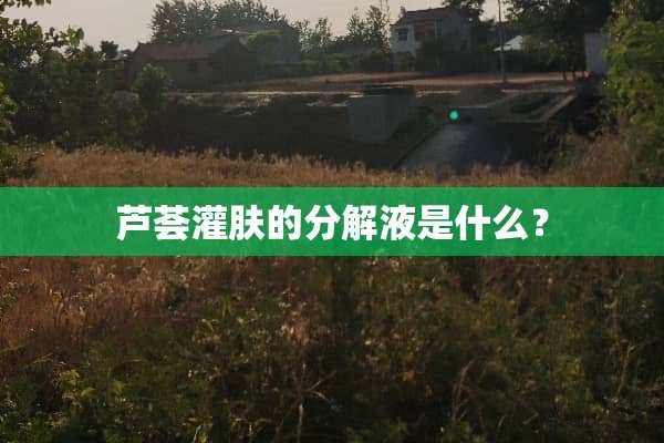 芦荟灌肤的分解液是什么？
