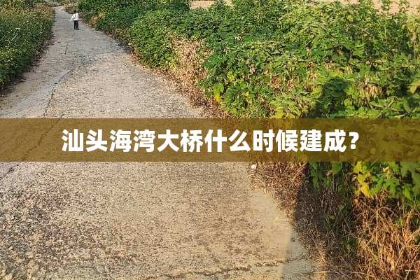 汕头海湾大桥什么时候建成？