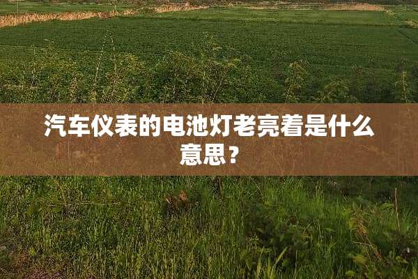 汽车仪表的电池灯老亮着是什么意思？