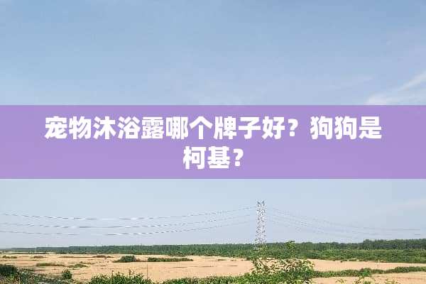 宠物沐浴露哪个牌子好？狗狗是柯基？