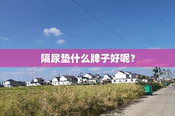 隔尿垫什么牌子好呢？