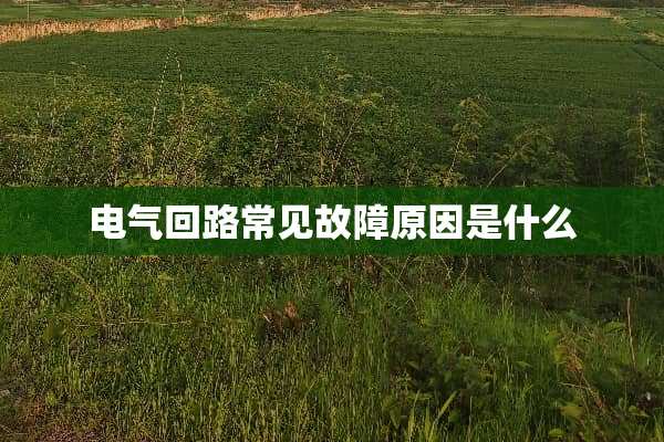 电气回路常见故障原因是什么
