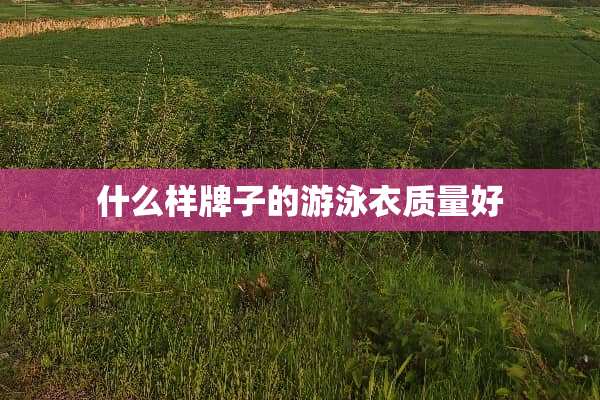 什么样牌子的游泳衣质量好