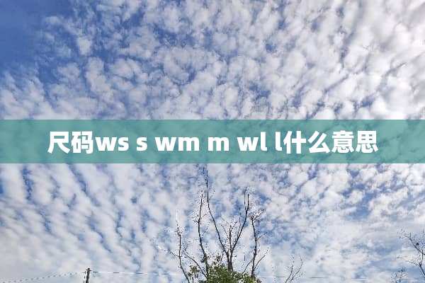 尺码ws s wm m wl l什么意思