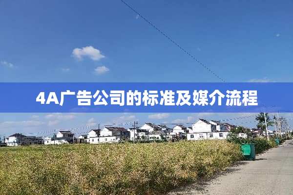 4A广告公司的标准及媒介流程