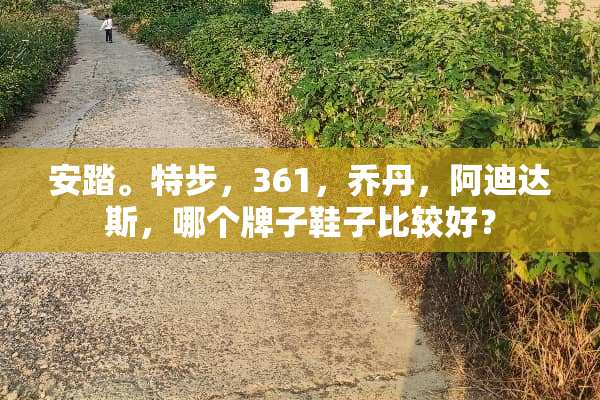 安踏。特步，361，乔丹，阿迪达斯，哪个牌子鞋子比较好？