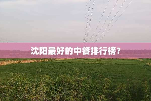 沈阳最好的中餐排行榜？