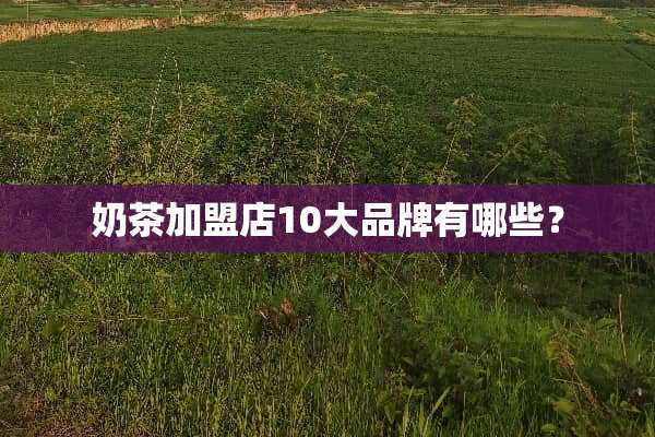 奶茶加盟店10大品牌有哪些？