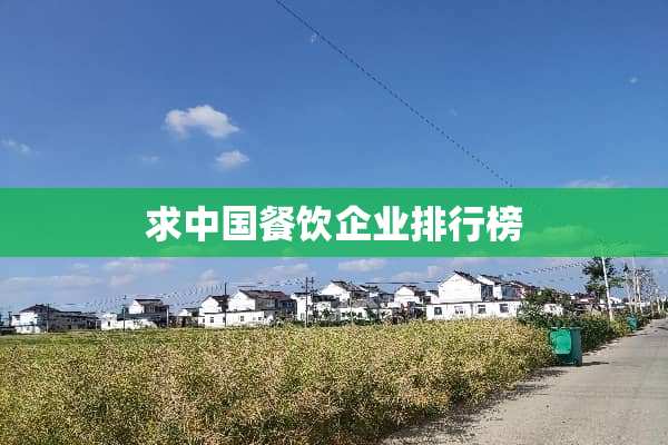 求中国餐饮企业排行榜