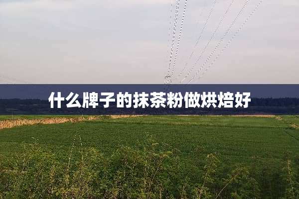 什么牌子的抹茶粉做烘焙好