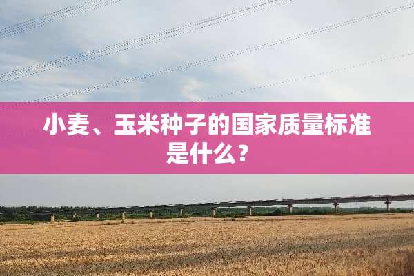 小麦、玉米种子的国家质量标准是什么？