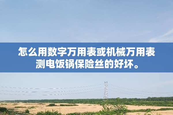 怎么用数字万用表或机械万用表测电饭锅保险丝的好坏。