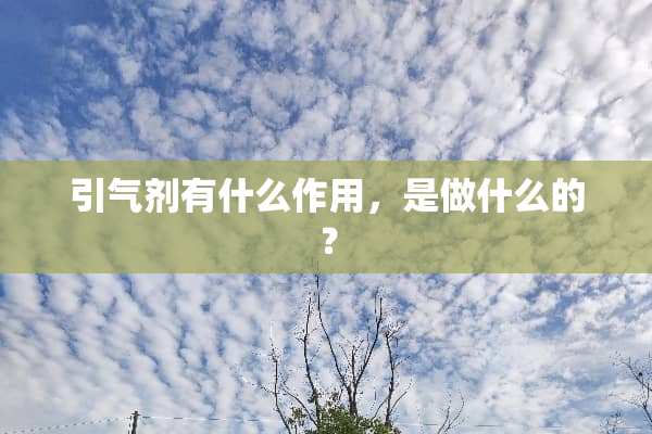 引气剂有什么作用，是做什么的？