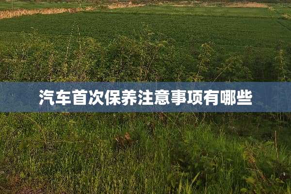 汽车首次保养注意事项有哪些