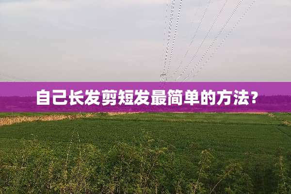 自己长发剪短发最简单的方法？