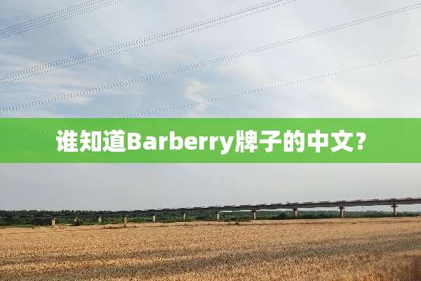 谁知道Barberry牌子的中文？