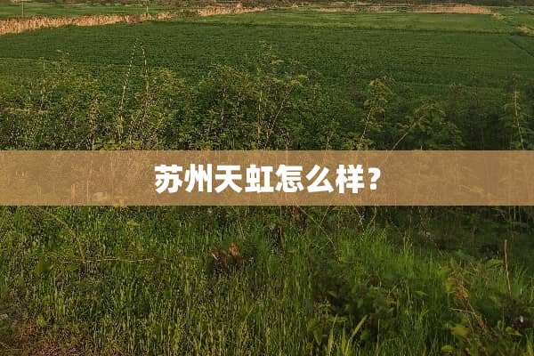 苏州天虹怎么样？
