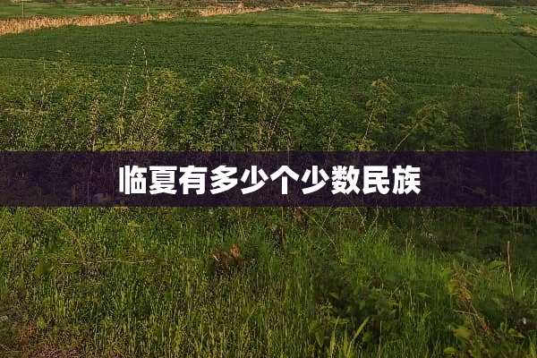 临夏有多少个少数民族