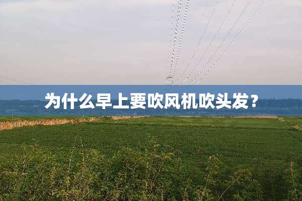 为什么早上要吹风机吹头发？