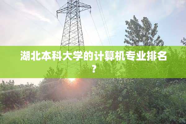 湖北本科大学的计算机专业排名？