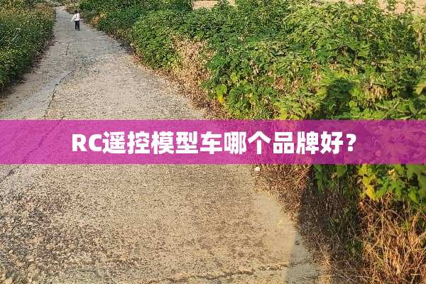 RC遥控模型车哪个品牌好？