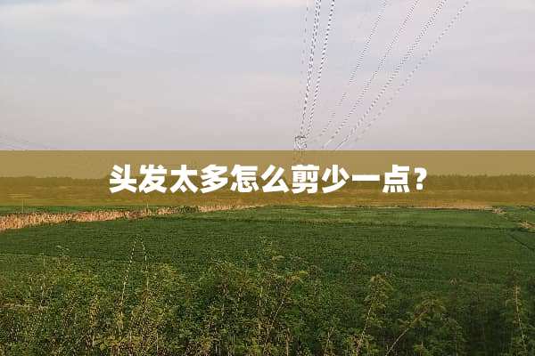头发太多怎么剪少一点？