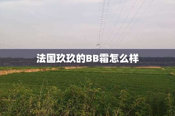 法国玖玖的BB霜怎么样