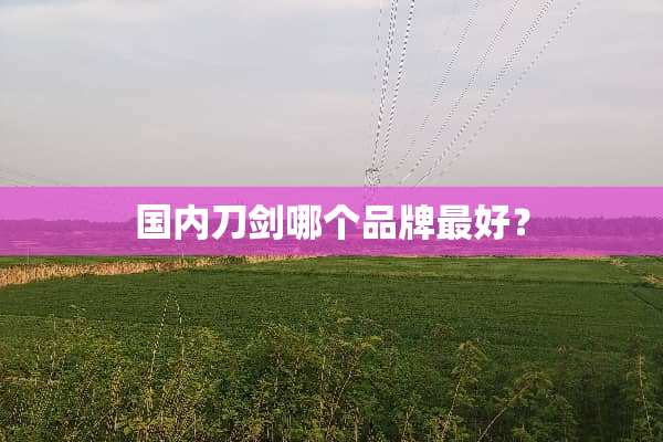 国内刀剑哪个品牌最好？