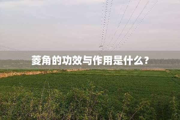 菱角的功效与作用是什么？
