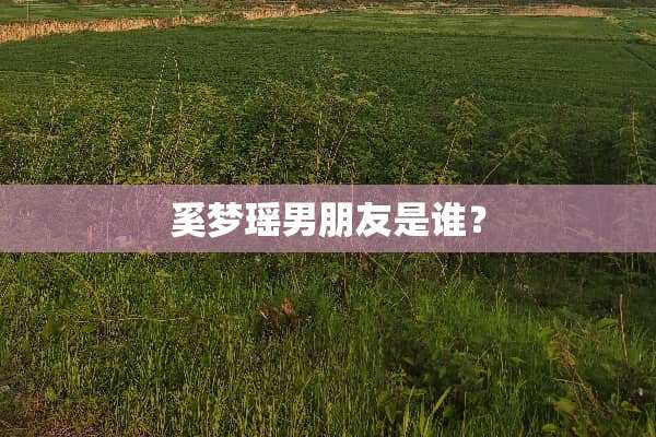 奚梦瑶男朋友是谁？