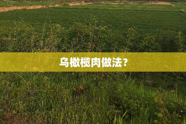 乌橄榄肉做法？