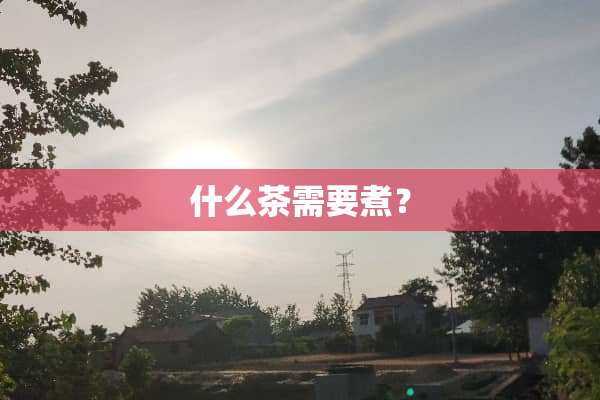 什么茶需要煮？