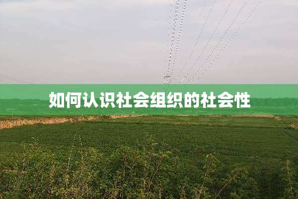 如何认识社会组织的社会性