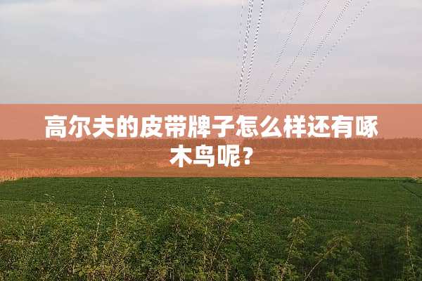 高尔夫的皮带牌子怎么样还有啄木鸟呢？
