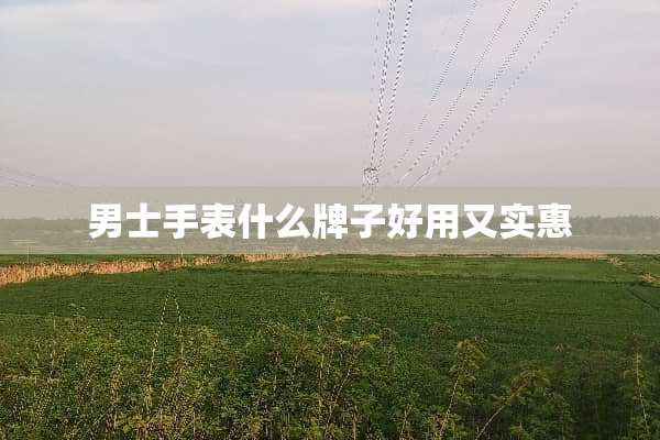 男士手表什么牌子好用又实惠