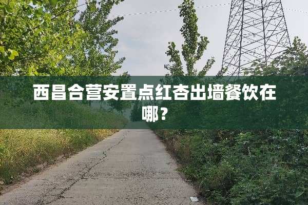 西昌合营安置点红杏出墙餐饮在哪？