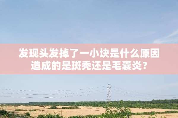 发现头发掉了一小块是什么原因造成的是斑秃还是毛囊炎？