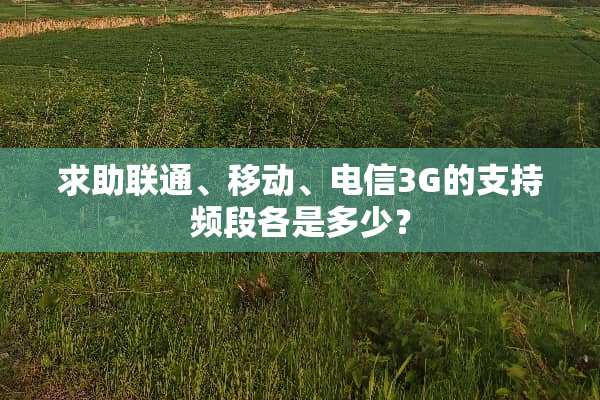 求助联通、移动、电信3G的支持频段各是多少？