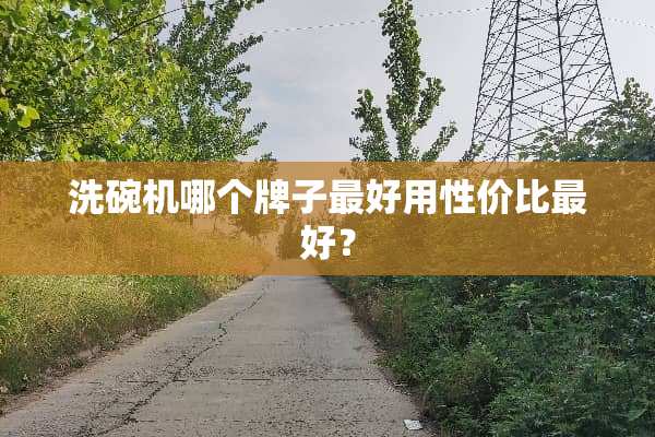 洗碗机哪个牌子最好用性价比最好？