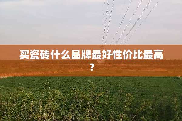 买瓷砖什么品牌最好性价比最高？