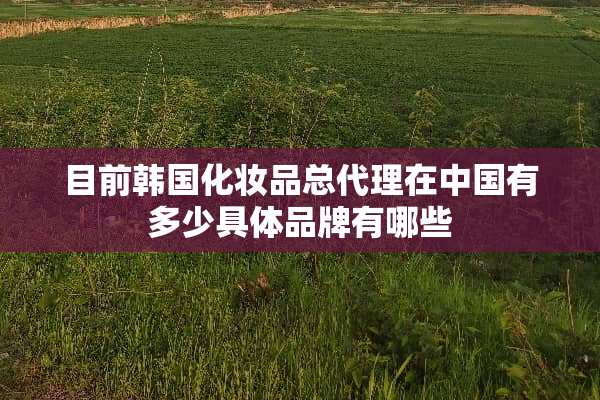 目前韩国化妆品总代理在中国有多少具体品牌有哪些