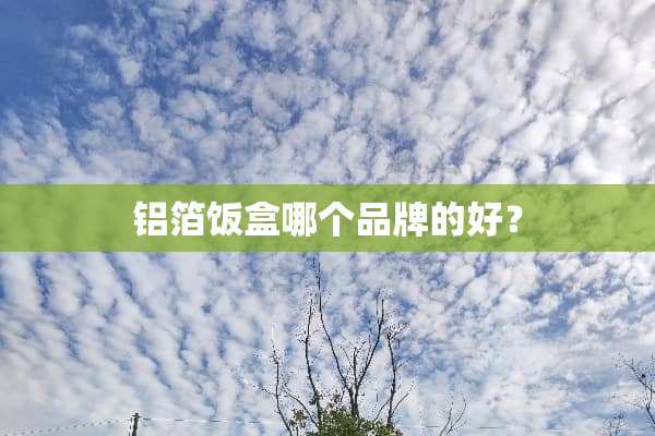 铝箔饭盒哪个品牌的好？