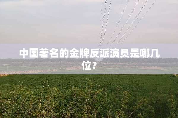 中国著名的金牌反派演员是哪几位？