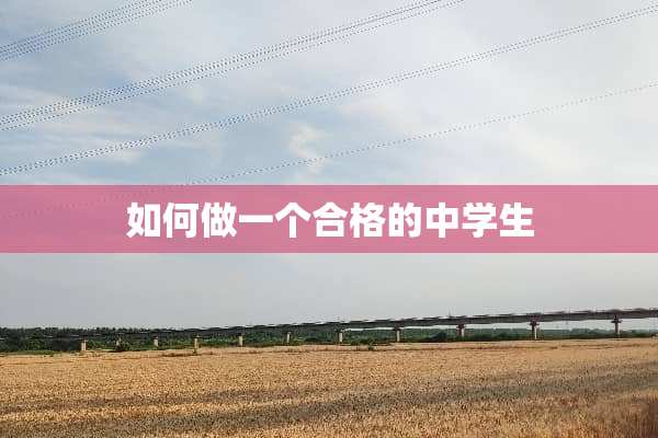 如何做一个合格的中学生