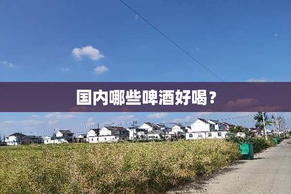 国内哪些啤酒好喝？