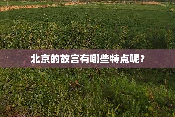 北京的故宫有哪些特点呢？