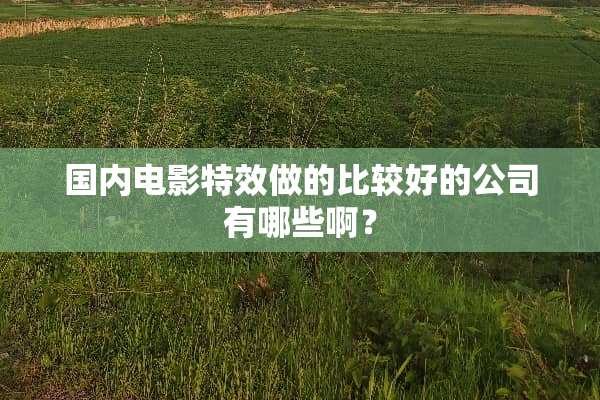 国内电影特效做的比较好的公司有哪些啊？