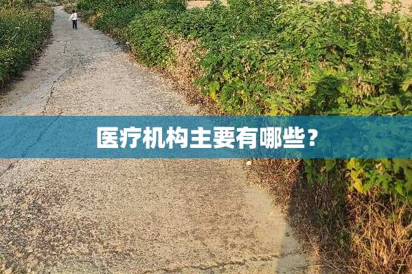 医疗机构主要有哪些？