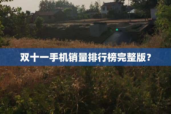 双十一手机销量排行榜完整版？