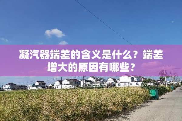 凝汽器端差的含义是什么？端差增大的原因有哪些？